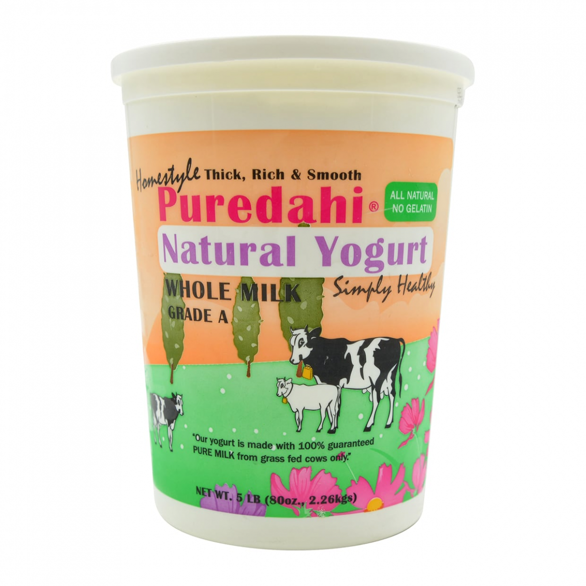 Pure Dairy, Pure Desi Natural Yogurt (Whole Milk), 5 Pound(LB) / Neelamga!