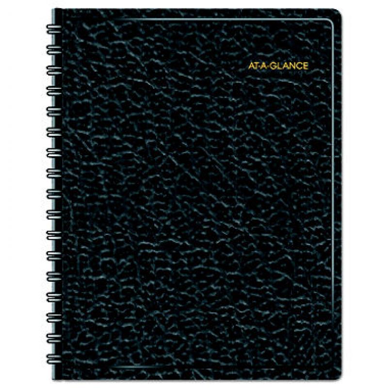 AT-A-GLANCE 24-Hour Daily Appointment Book, 8 1/2 x 11, 2017