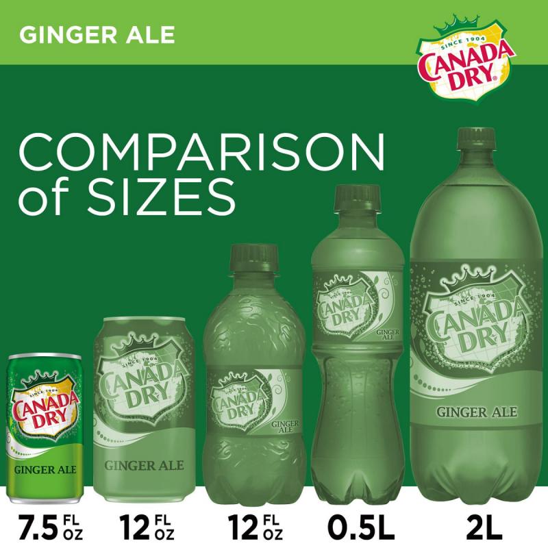 Canada Dry Ginger Ale Mini (7.5oz / 30pk)