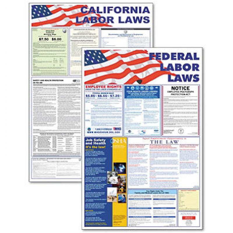 Advantus - State/Federal Labor Lawith Legally Required Multi-Colored Poster, 24 x 30